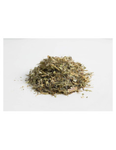 Hierba de Cardo Bendito Cortada 454 g - Mejores Botánicos