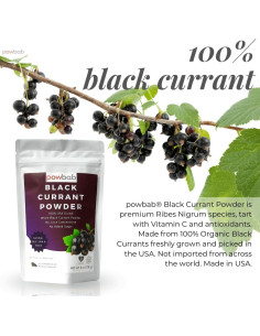 Polvo de Grosella Negra 100% powbab - 170g Sin Azúcar 2