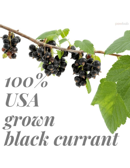 Polvo de Grosella Negra 100% powbab - 170g Sin Azúcar