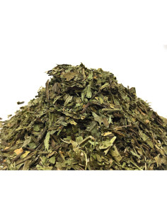 Hierba de Plantago Lanceolata 30g - 100% Natural - Vegano 2