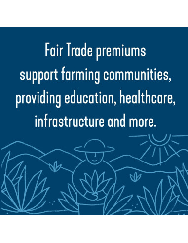 Néctar de Agave Azul Crudo Orgánico Wholesome 1.24 kg