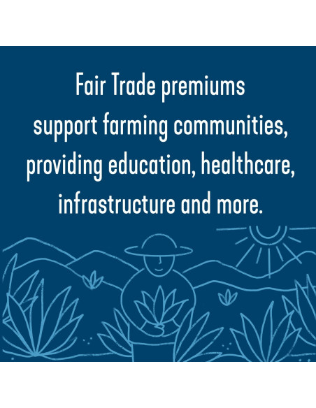 Néctar de Agave Azul Crudo Orgánico Wholesome 1.24 kg