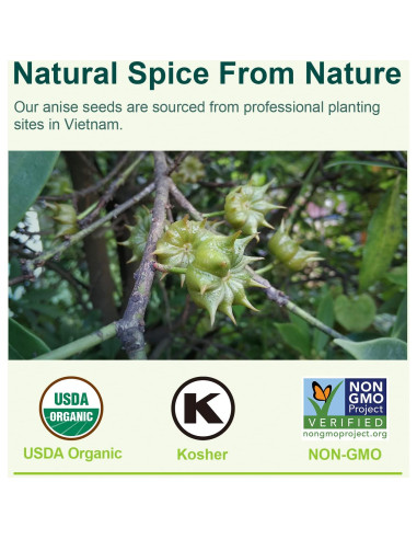 Polvo Orgánico de Anís Estrellado Soeos 37g - Especia Natural