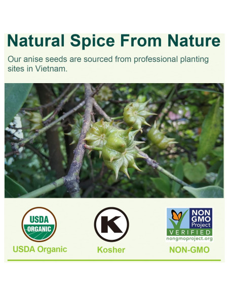 Polvo Orgánico de Anís Estrellado Soeos 37g - Especia Natural