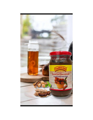 Concentrado de Tamarindo Tamicon 440g | Pasta Dulce y Ácida
