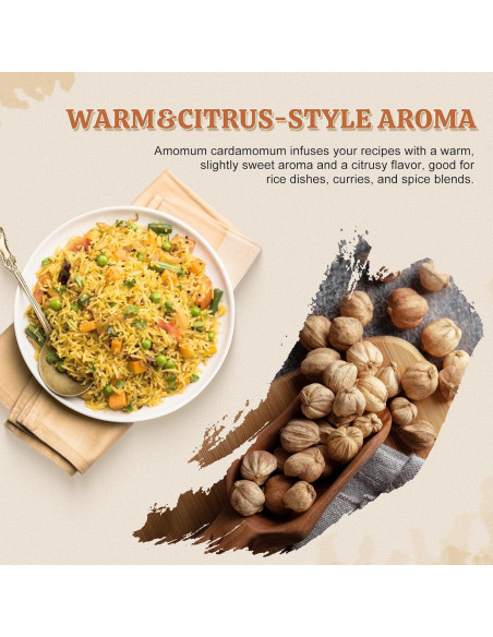 Vainas de Cardamomo Blanco 52USA 113g - Sin OGM, Aromático