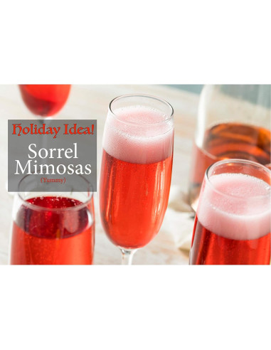 Flor de Jamaica Premium RHS 5 x 85 Gr Pétalo Entero Vegano