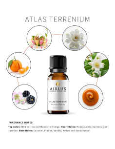 Aceite Aromático Airlux 10 mL Atlas Terrenium - Cardamomo, Iris, Pimienta Negra 2