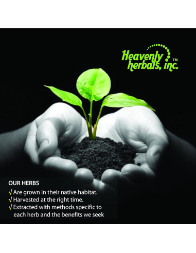 Tintura Madre Homeopática Sarsaparilla Heavenly Herbals 59 ml