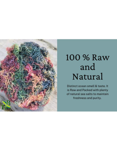 Musgo Marino Irlandés Herb To Body 113.4g | 100% Natural