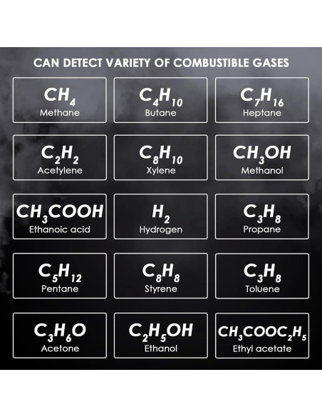 Detector de Fugas de Gas Natural DANOPLUS con Sonda Flexible