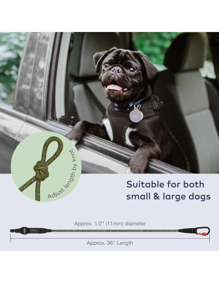 Cinturón de Seguridad para Perros ARCA PET Verde Militar