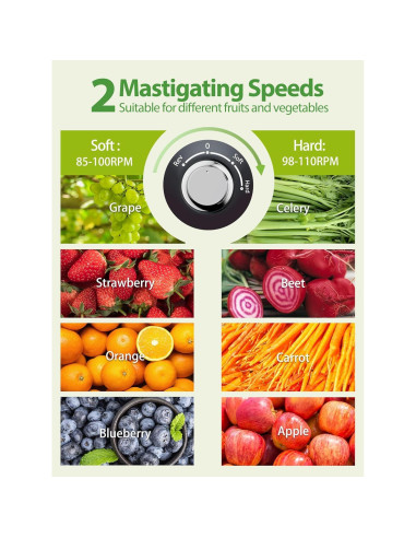 Extractor de Jugo Horizontal Aeitto Clásico 600ml Negro