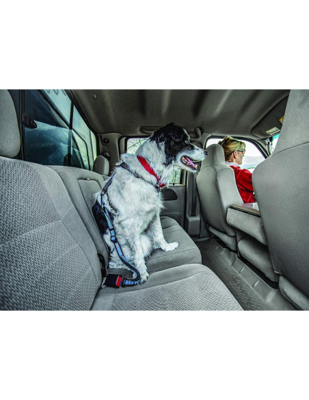 Cinturón de Seguridad para Perros Kurgo Ajustable Azul 56-66 cm