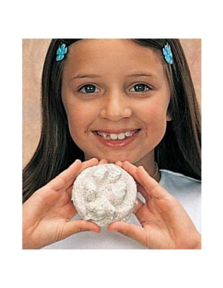 Kit de Manualidades Huellas de Animales Nature-Watch 25 Proyectos