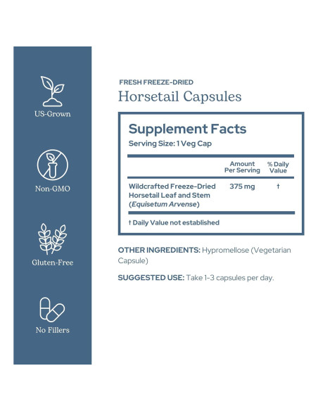 Cápsulas de Cola de Caballo Cruda Liofilizada Eclectic 90 CT