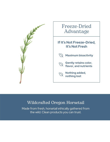 Cápsulas de Cola de Caballo Cruda Liofilizada Eclectic 90 CT