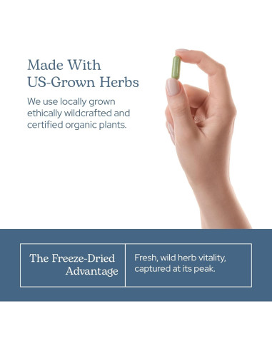 Cápsulas de Cola de Caballo Cruda Liofilizada Eclectic 90 CT