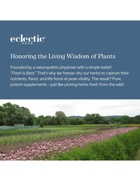 Cápsulas de Cola de Caballo Cruda Liofilizada Eclectic 90 CT