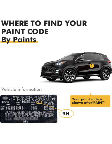 Pintura de Retoque Kia Gris Lobo (C7S US6) 12 ml