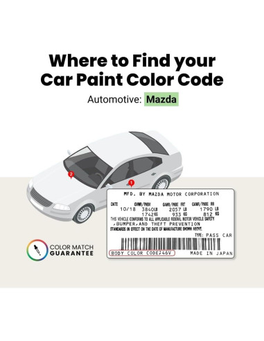 Pintura de Retoque TouchUpDirect 41W Perla Negra Jet - Kit Esencial