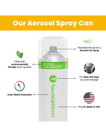 Pintura de Retoque Aerosol TouchUpDirect UG Blanco Platino