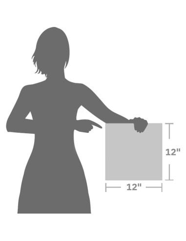 Arte de Pared Lienzo Chanel 30x30 cm Decoración Elegante