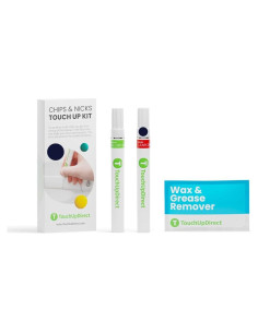 Kit de Pintura de Retocado TouchUpDirect Azul Metálico PPSB 29.57 ml