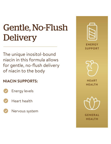 Solgar Niacina No-Flush 500 mg 250 Cápsulas Veganas - Metabolismo Energético
