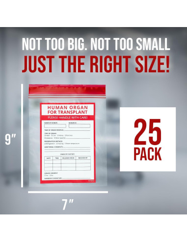 25 Bolsas Divertidas de Órganos Humanos Konama 23x18 cm