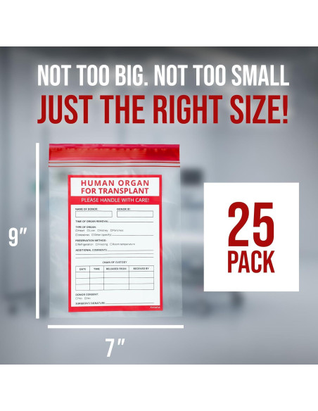 25 Bolsas Divertidas de Órganos Humanos Konama 23x18 cm