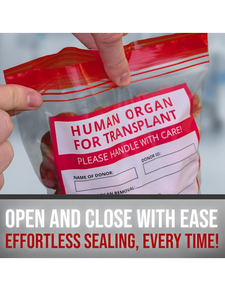 25 Bolsas Divertidas de Órganos Humanos Konama 23x18 cm