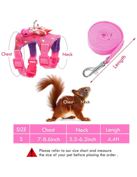 Arnés y Correa para Mascotas Pequeñas SATINIOR S Negro/Rosa