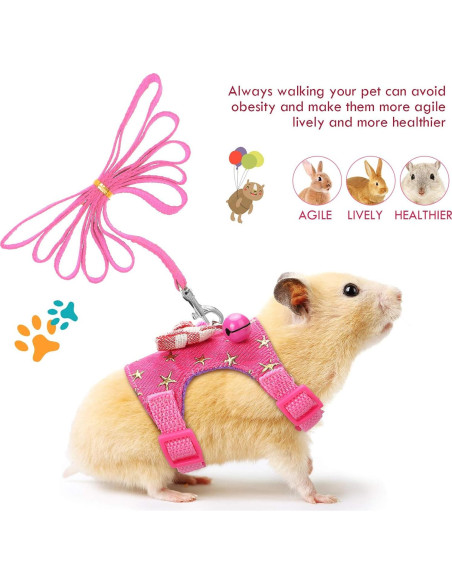 Arnés y Correa para Mascotas Pequeñas SATINIOR S Negro/Rosa