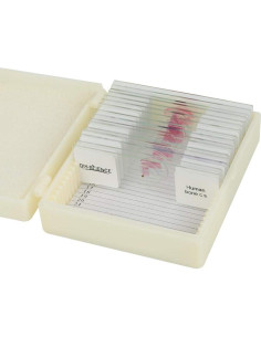 Juego de 17 Diapositivas de Microscopio Anatomía Humana DIY-SCIENCE 2