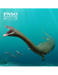 Modelo de Dinosaurio PNSO 91 Xiaochong Dinocephalosaurus 0.45 kg 2