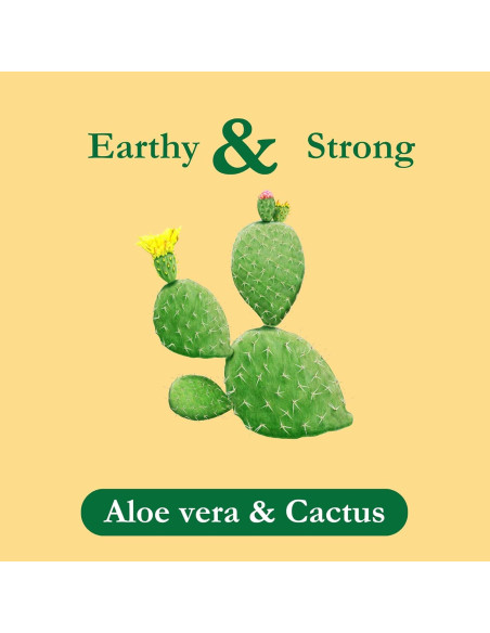 Té de Hierbas Tadin Aloe Vera y Nopal Sin Cafeína 144 Bolsitas