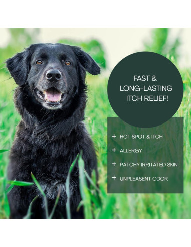 Champú para Perros Lakota Naturals 539.8g - Alivio Piel Picante