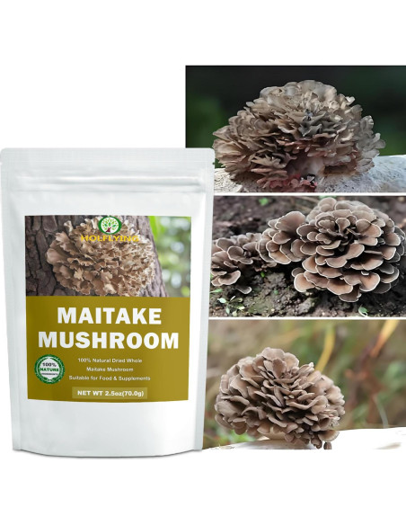 Champiñones Maitake Secos 100% Naturales 70.87 g - Sin OGM