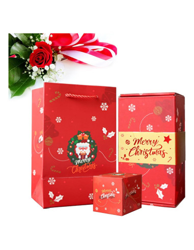 Caja de Regalo Sorpresa DYFCNP 10 Cajas Rojas para Navidad