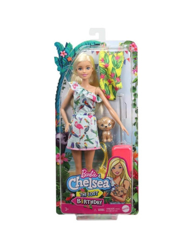 Muñeca Barbie Cumpleaños Perdido Mattel 29.8 cm