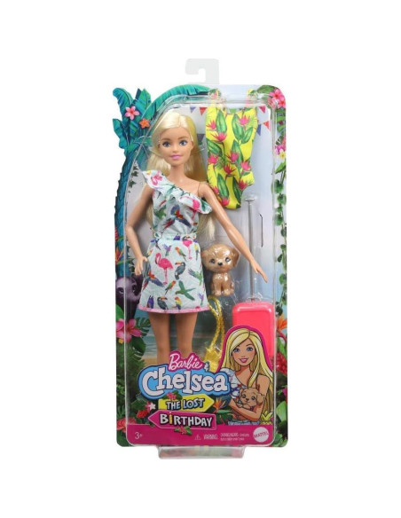 Muñeca Barbie Cumpleaños Perdido Mattel 29.8 cm