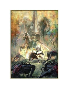 La Leyenda de Zelda: Princesa Crepuscular - Nintendo Wii - DVD-ROM 2