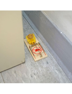 Trampa para Ratones de Madera Southern Homewares - Paquete de 20 2