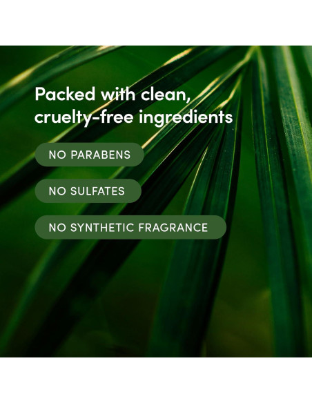 Crema Hidratante Corporal LATHER Bambú 236.6 ml - Vegana