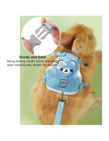 Conjunto Arnés y Correa Ajustable Copfeu para Conejos Azul