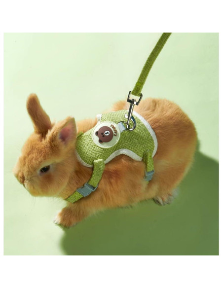 Conjunto Arnés y Correa Ajustable Copfeu para Conejos Azul