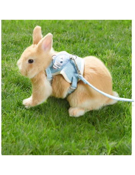 Conjunto Arnés y Correa Ajustable Copfeu para Conejos Azul