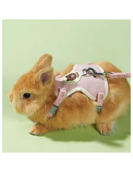 Conjunto Arnés y Correa Ajustable Copfeu para Conejos Azul