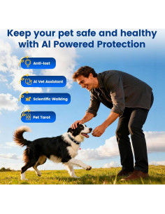 Etiqueta QR Inteligente PawView para Mascotas - Protección y Salud 2